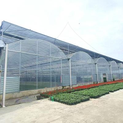 China Multi-span Agricultural Plastic Film Vegetable Fruit Tunnel Greenhouse for sale