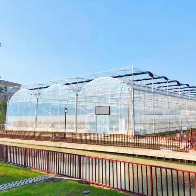 China UV Resistant Plastic PE Film Tunnel Fruit Agricultural Greenhouse for sale