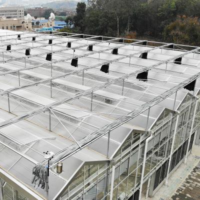 China Hot Dipped Galvanized Steel Agricultural Glass House for Vegetable Growing for sale