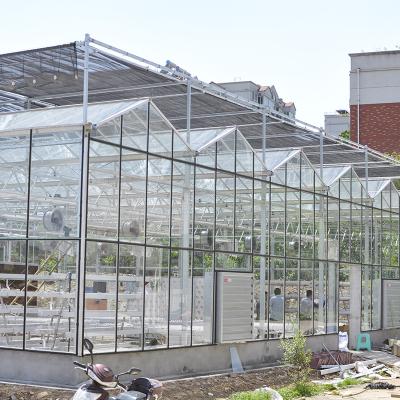 China Agricultural Customized Durable Vegetable Growing Drying House Glass Greenhouse for sale