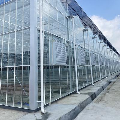 China Hot Dipped Galvanized Steel Tomato Growing Glass Greenhouse Kit with Cooling System for sale