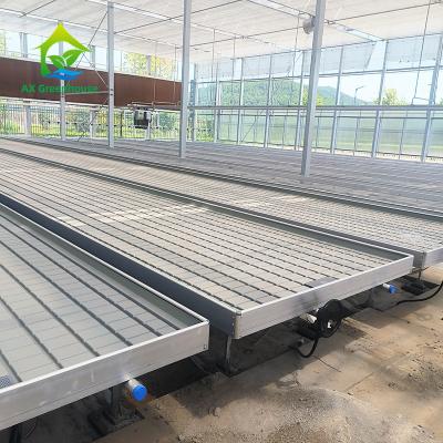 China Greenhouse Indoor Hydroponic Ebb And Flood Rolling Benches Grow Seed Table For Seeding for sale