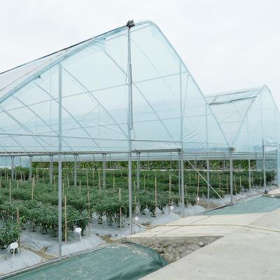 China Outdoor Plastic Film Poly Tunnel Agricultural Seeding Greenhouse For Sale for sale