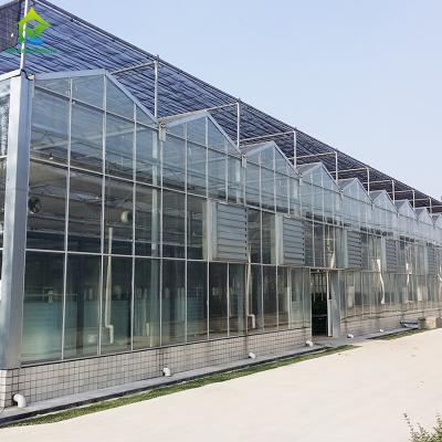 China Venlo Commercial Polycarbonate PC Sheet Agricultural Large Tunnel Greenhouse for sale