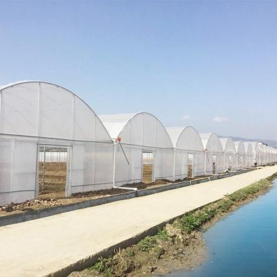 China Multi-span Agricultural Poly Tunnel Plastic Greenhouse with Steel Tructure and Irragation System for sale