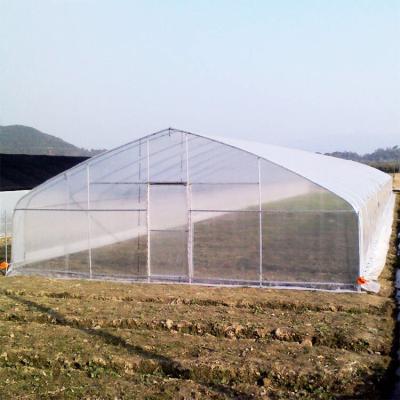 China Greenhouse Tunnel Single-span Plastic Film for Agricultural Vegetables and Fruits for sale