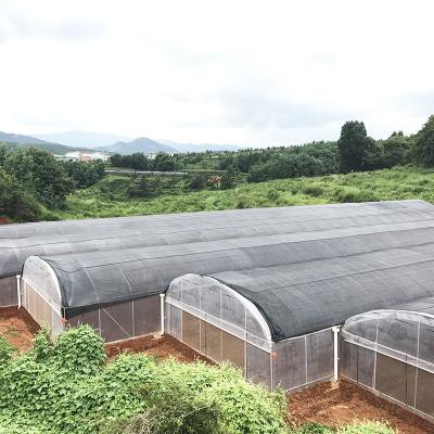 China Large Tunnel Plastic Film Single-span Agricultural Nursery Growing Greenhouse for sale