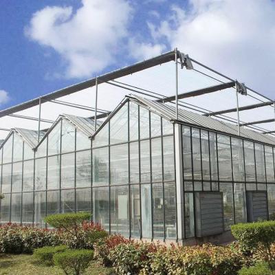 China Hot Dipped Galvanized Steel Structure Triangle Roof Molding 30*20m Commercial Customized Automatic Glasshouse Venlo Glass Greenhouse for sale