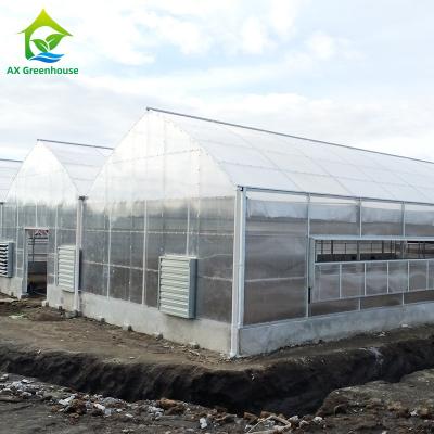 China Plants Cultivation Single Span Polycarbonate PC Sheet Greenhouse with Stable Structure and Easy Assembly for sale