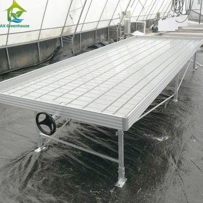 China Cama de semillas de interior de flujo de crecimiento de la corriente de flujo de crecimiento de la tabla V pista de banco de rodadura hidropónico en venta