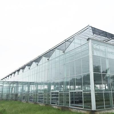 China 9.6m/10.8m/12m ancho marco de aleación de aluminio vidrio agrícola venlo invernadero de múltiples tramos con moldeo de techo triangular en venta