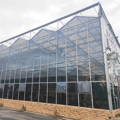 China Custom Size Aluminum Steel Multi-span Venlo Tomato Tempered Glass Greenhouse for sale