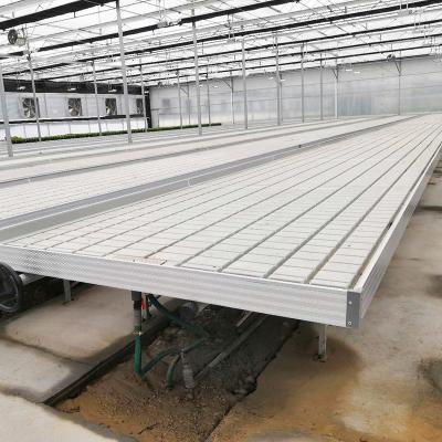 China Greenhouse Hydroponic Soilless Culture Ebb Flood Grow Table Seedbed Rolling Bench For Lettuce for sale