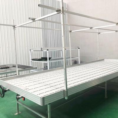 China Ebb Flow Custom Double Layers Flood Grow Table Seedbed Rolling Bench Movable and Suitable for Flowers for sale