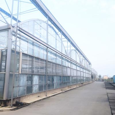 China Moldeado de techo triangular comercial de múltiples tramos Gran túnel de vidrio Casa de flores de cultivo invernadero gótico en venta