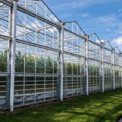 China Optimal Ventilation Climate Control for Healthy Crop Growth in Agricultural Glass Greenhouse for sale