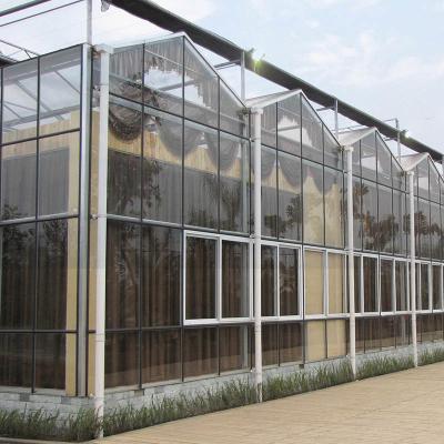 China Luxury Multi-span Venlo Tempered Glass Wind Resistant Tomato Greenhouses for sale