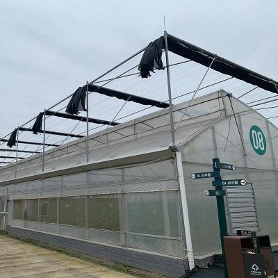 China Horticultural Multi-span Poly Tunnel Sawtooth Tropical Grow Tent Greenhouse for sale