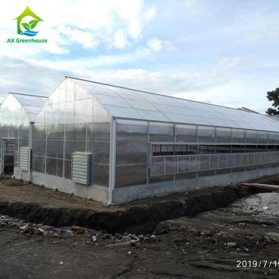 China 1.2g/Cm2 anti het Polycarbonaatbladen van de Sneeuwserre 6mm Tweelingcomités van het Muurpolycarbonaat Te koop