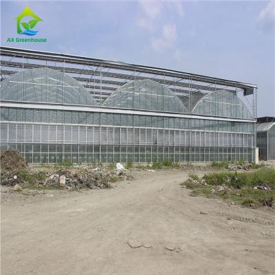 China Heavy Duty Glass Hydroponic Nursery Greenhouse For Vegetables for sale