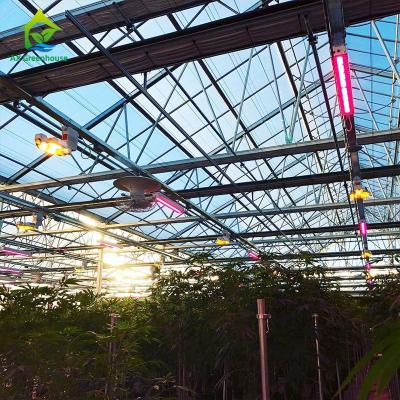 China Hemp Light Deprivation 20' X 100' Greenhouse 3 Layers Peppers Green House for sale