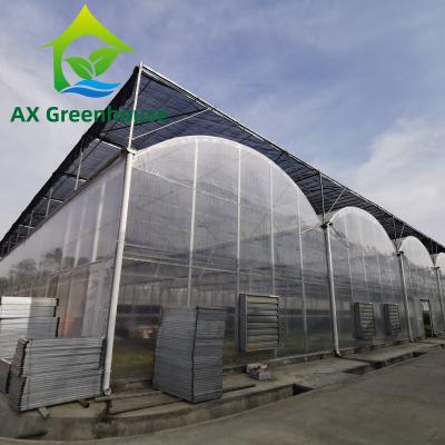 China Strawberries Plastic Film Greenhouse for sale