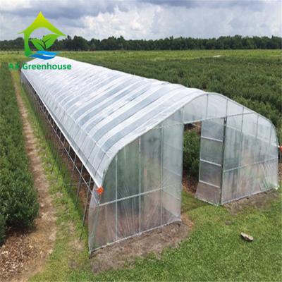 China 0.06mm 0.20mm Thick Flm Poly Tunnel Greenhouse Hot Galvanised Steel Greenhouse for sale