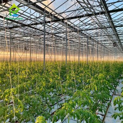 China Lettuce Soilless Cultivation Equipment for sale