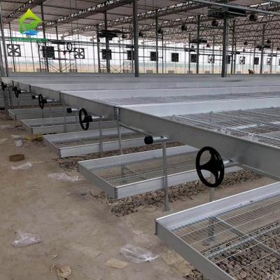 China Indoor Cultivation Greenhouse Rolling Tables Galvanized Expanded Metal Plant Bench for sale