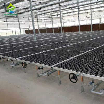 China A planta de estufa da armação de aço do HDG apresenta 50*100mm Mesh Nursery Potting Benches à venda