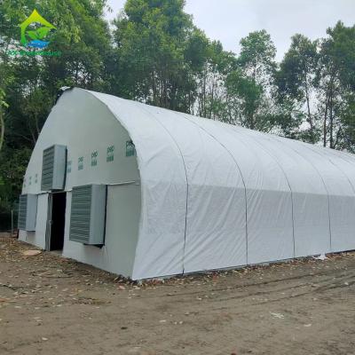 China Customized Cannabis Light Dep Solutions Electric Film Roller Blackout Greenhouse for sale