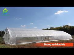 Easy Installation Tunnel Greenhouse Steel Frame Single Span