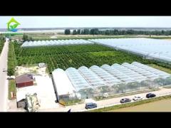 Agricultural Tunnel Film Greenhouse Single Layer Multi Span