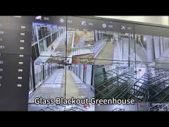 Glass Automated Blackout Greenhouse For Mushroom!