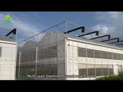 Tropical Black White Film Sawtooth Greenhouse Project