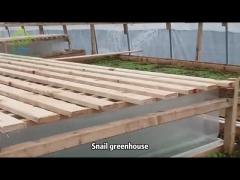 A small snail greenhouse