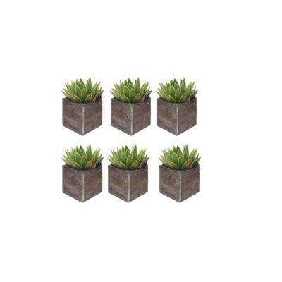 China Eco-Freindly Set of 6 Decorative Craft to Settle a One Go Yard Wooden Flower Box for sale