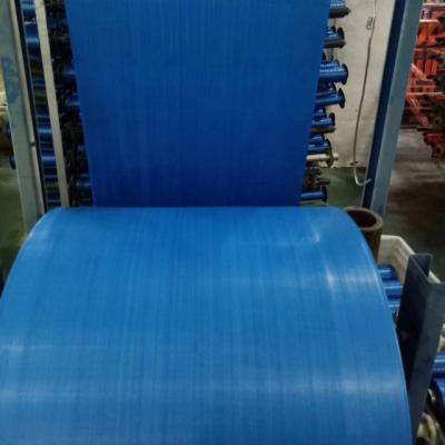 China Customized Width Plastic Cloth Polypropylene Sack Recyclable Wholesale PP Woven Sack Roll for sale