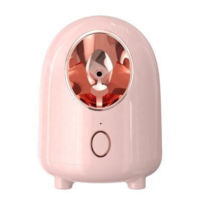 China Spa Hot Nano Mini Vaporizer Home Use Portable Moisturizer ROSE Ionic Facial Mist Steamer for sale