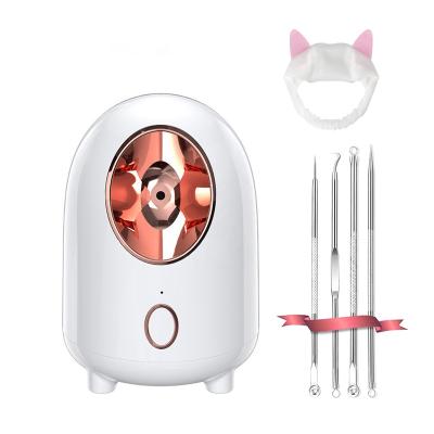 China Moisturizer Electric Nano Facial Steamer Home Use Cheap Facial Steamer Facial Steamer for sale