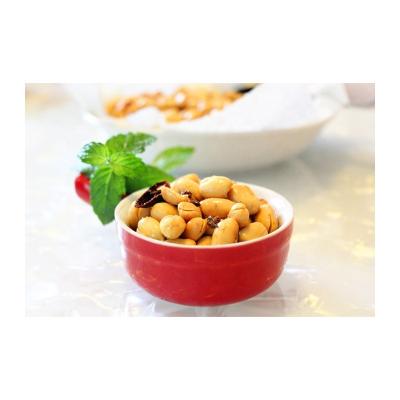 China Hot Spicy Flavor Snacks Wholesale Dry Spicy Peanut Peanuts 34/38 38/42 Spicy Peanut Kernel For Sale for sale