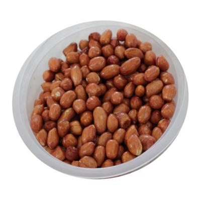 China Qingdao Supplier Natural Fried Peanuts With Red Skin Peanuts In Bulk Package for sale