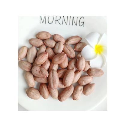 China Long-Round Shape Dry Raw Peanuts 28/32 34/38 Best Price Peanut Peanut Raw Peanut For Sale for sale