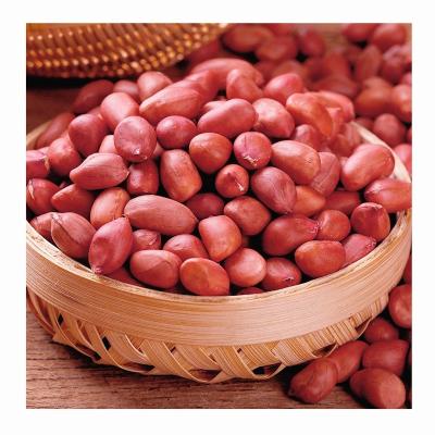 China Scientifically Developed Dry Raw Peanut Skin Earthnut Kernel Red Peanut Kernel For Sale for sale