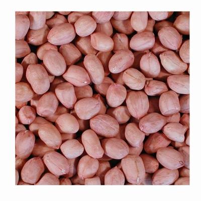 China Crops Peanut Kernel Dry Red Natural Color Peanut Shell - Free Sample Original Peanut for sale