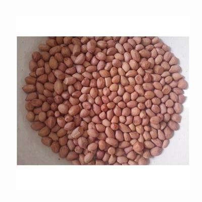 China High Oleic Acid Clean Raw Long Peanuts Dry Raw Red Peanut Peanuts Without Shell for sale