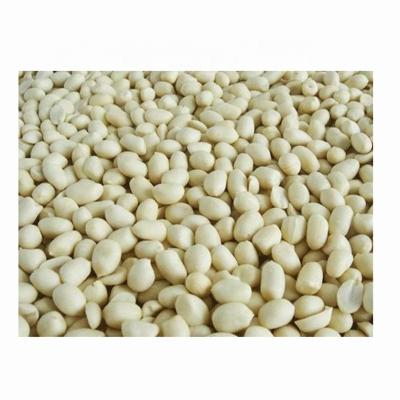 China 29/33 Dry , 35/39 100% Clean Peanuts Price Blanched Raw Peanut Blanched Peanut Kernel for sale