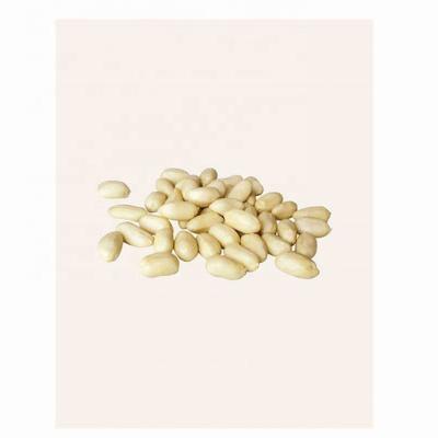 China Boutique Long Round Shape Dry Blanched Peanut Kernel For Sale for sale