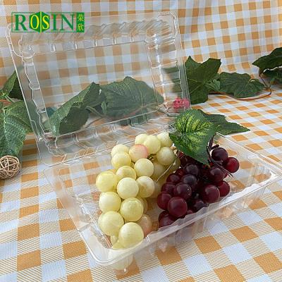 China ome disposable high quality wholesale square size manufacturing fruit vegetable transparent transparent clear plastic case small for sale