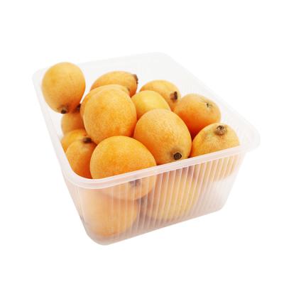 China Custom Eco Friendly Disposable Food Grade PET Rectangle Plastic Fresh Fruit And Vegetable Packaging Tray Containers for sale